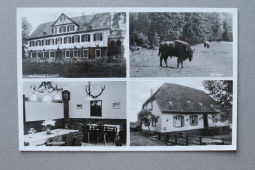 Ansichtskarte AK Eulbach 1950-1970 Jagdschloss Wildpark Waldgaststätte Architektur Ortsansicht Hessen